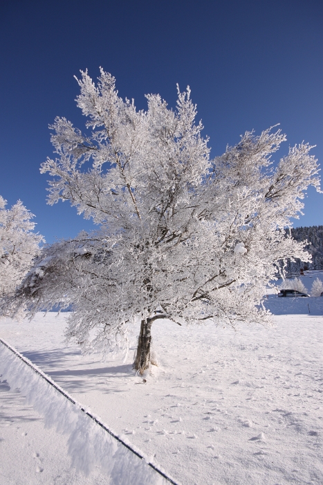 Lac de Joux - 007